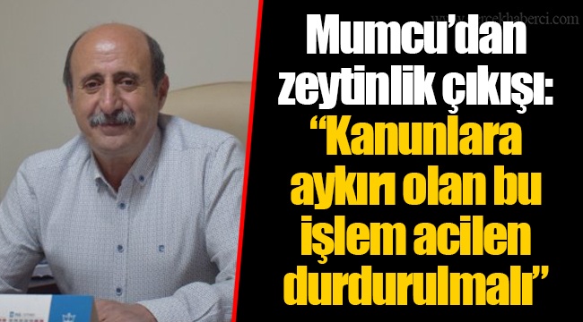 Mumcu’dan zeytinlik çıkışı: “Kanunlara aykırı olan bu işlem acilen durdurulmalı”