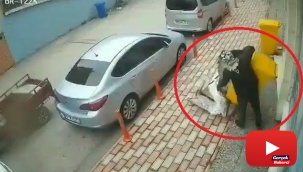 Poşete koyar gibi çek çek arabasına çöp kovalarını koyarak çaldılar