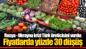 Rusya - Ukrayna krizi Türk üreticisini vurdu: Fiyatlarda yüzde 30 düşüş