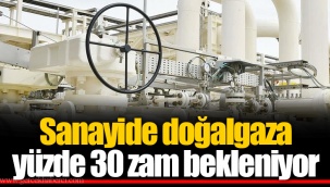 Sanayide doğalgaza yüzde 30 zam bekleniyor