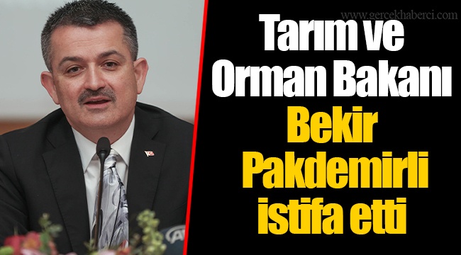 Tarım ve Orman Bakanı Bekir Pakdemirli istifa etti