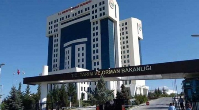 Tarım ve Orman Bakanlığı: Et ve Süt Kurumu'nun zam kararı piyasayı etkilemiyor