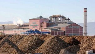 Ticaret Bakanlığı şeker fabrikalarına inceleme başlattı