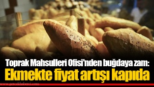 Toprak Mahsulleri Ofisi'nden buğdaya zam: Ekmekte fiyat artışı kapıda