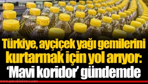 Türkiye, ayçiçek yağı gemilerini kurtarmak için yol arıyor: ‘Mavi koridor’ gündemde