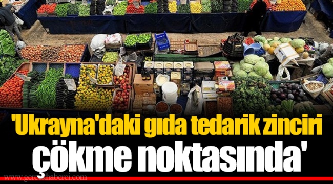 'Ukrayna'daki gıda tedarik zinciri çökme noktasında'