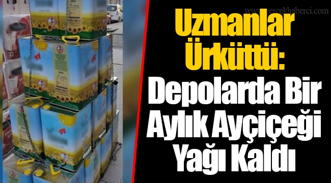 Uzmanlar Ürküttü: Depolarda Bir Aylık Ayçiçeği Yağı Kaldı
