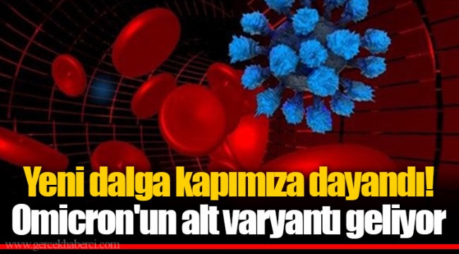 Yeni dalga kapımıza dayandı! Omicron'un alt varyantı geliyor