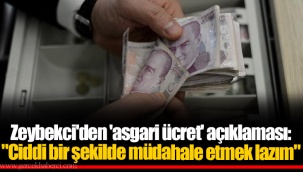 Zeybekci'den 'asgari ücret' açıklaması: