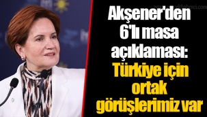 Akşener'den 6'lı masa açıklaması: Türkiye için ortak görüşlerimiz var