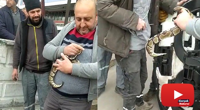 Aracının ön konsol kısmına kaçan yılanına kavuştu, verdiği tepkiyle gülümsetti