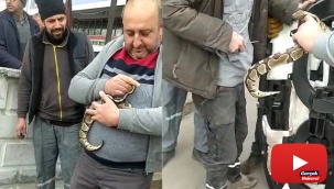 Aracının ön konsol kısmına kaçan yılanına kavuştu, verdiği tepkiyle gülümsetti