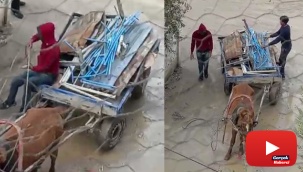 At arabasıyla gelip ellerini kollarını sallayarak hırsızlık yaptılar