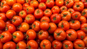 Bakanlıktan 'çöpe dökülen sebze' görüntülerine açıklama
