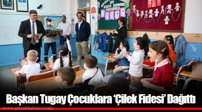 Başkan Tugay Çocuklara ‘Çilek Fidesi’ Dağıttı
