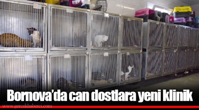 Bornova’da can dostlara yeni klinik