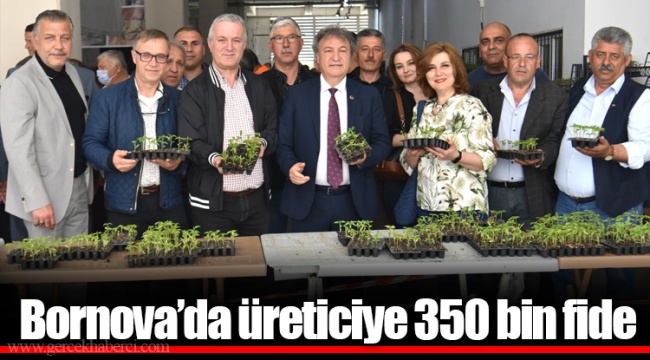 Bornova’da üreticiye 350 bin fide