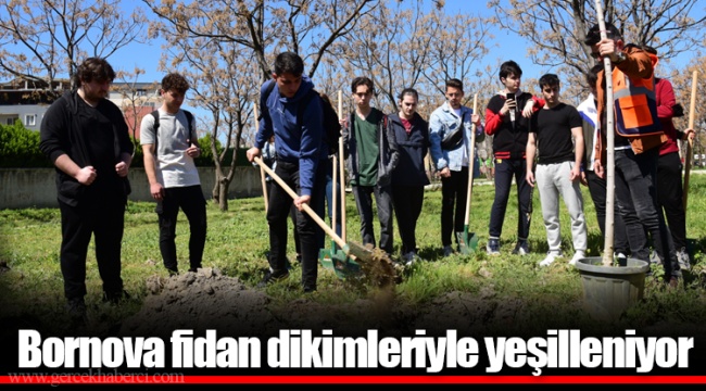 Bornova fidan dikimleriyle yeşilleniyor