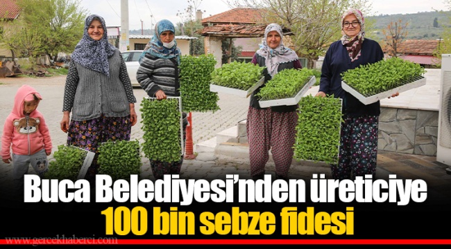Buca Belediyesi’nden üreticiye 100 bin sebze fidesi  