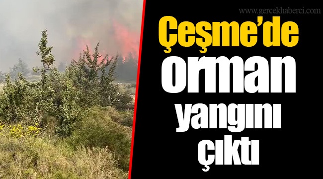 Çeşme'de orman  yangını  çıktı