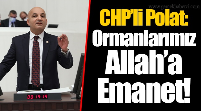 CHP’li Polat: Ormanlarımız Allah’a Emanet!