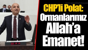 CHP’li Polat: Ormanlarımız Allah’a Emanet!