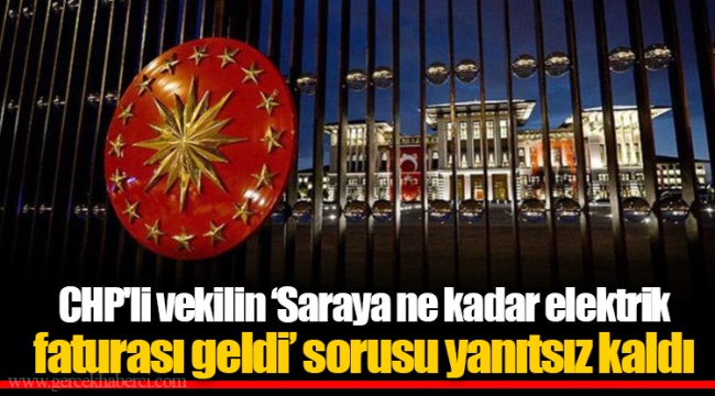 CHP'li vekilin ‘Saraya ne kadar elektrik faturası geldi’ sorusu yanıtsız kaldı