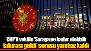 CHP'li vekilin ‘Saraya ne kadar elektrik faturası geldi’ sorusu yanıtsız kaldı