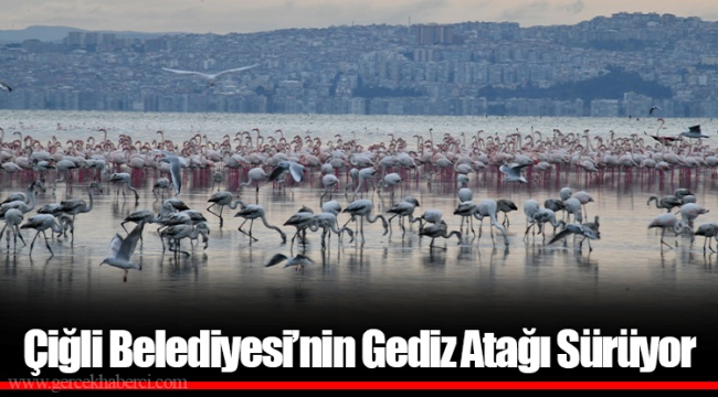 Çiğli Belediyesi’nin Gediz Atağı Sürüyor