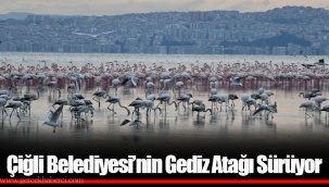 Çiğli Belediyesi’nin Gediz Atağı Sürüyor