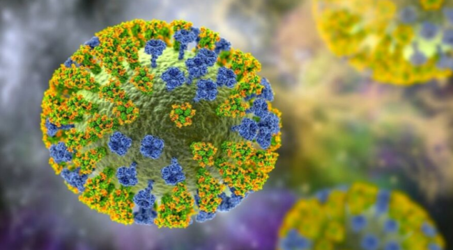 Çin açıkladı: H3N8 kuş gribi insanda tespit edildi