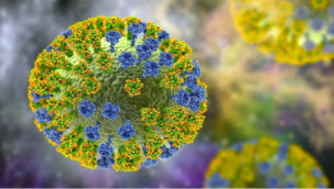 Çin açıkladı: H3N8 kuş gribi insanda tespit edildi
