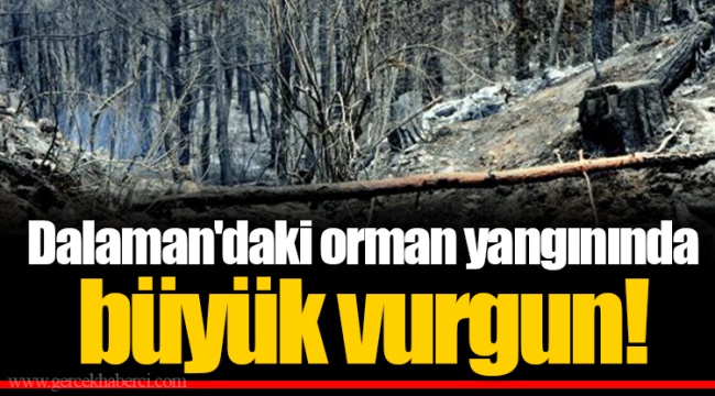 Dalaman'daki orman yangınında büyük vurgun!