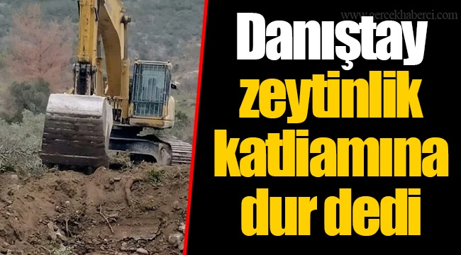 Danıştay zeytinlik katliamına dur dedi