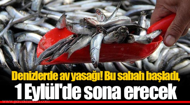 Denizlerde av yasağı! Bu sabah başladı, 1 Eylül'de sona erecek
