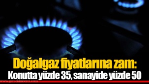 Doğalgaz fiyatlarına zam: Konutta yüzde 35, sanayide yüzde 50