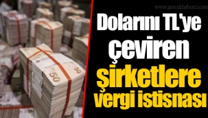 Dolarını TL'ye çeviren şirketlere vergi istisnası