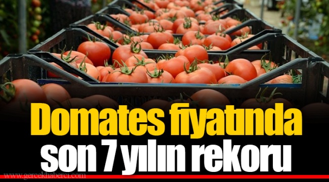 Domates fiyatında son 7 yılın rekoru