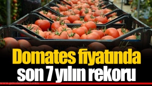 Domates fiyatında son 7 yılın rekoru