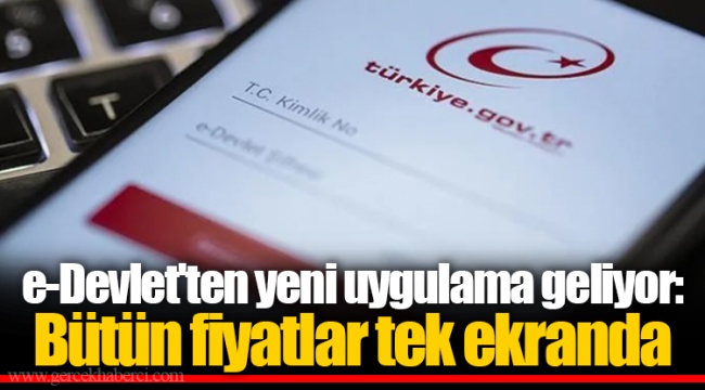 e-Devlet'ten yeni uygulama geliyor: Bütün fiyatlar tek ekranda