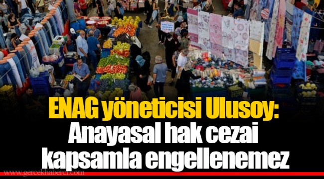 ENAG yöneticisi Ulusoy: Anayasal hak cezai kapsamla engellenemez