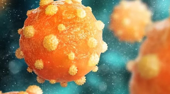 Erişkinlere Hepatit A uyarısı
