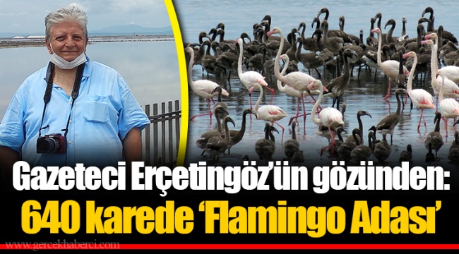 Gazeteci Erçetingöz'ün gözünden: 640 karede 'Flamingo Adası'