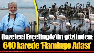 Gazeteci Erçetingöz'ün gözünden: 640 karede 'Flamingo Adası'