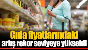 Gıda fiyatlarındaki artış rekor seviyeye yükseldi