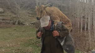 Hasta yaban keçisini 2 kilometre sırtında taşıdı