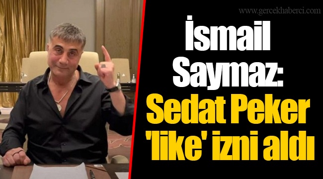 İsmail Saymaz: Sedat Peker 'like' izni aldı