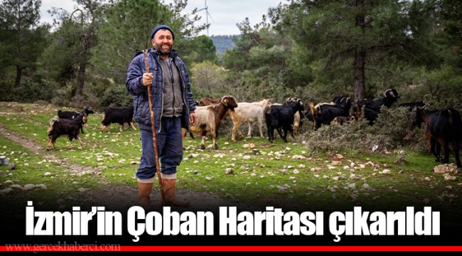 İzmir’in Çoban Haritası çıkarıldı