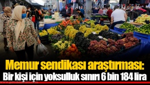 Memur sendikası araştırması: Bir kişi için yoksulluk sınırı 6 bin 184 lira