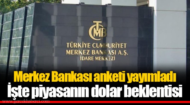 Merkez Bankası anketi yayımladı  İşte piyasanın dolar beklentisi